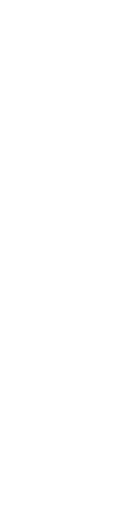 項目展示